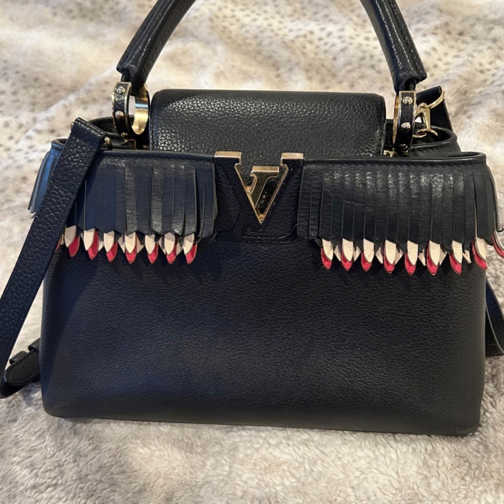Louis Vuitton Leather Capucines bag